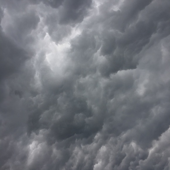 Meet your Posher, Sierra - Picture 1 of 1